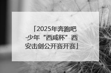 2025年奔跑吧·少年“西咸杯”西安击剑公开赛开赛